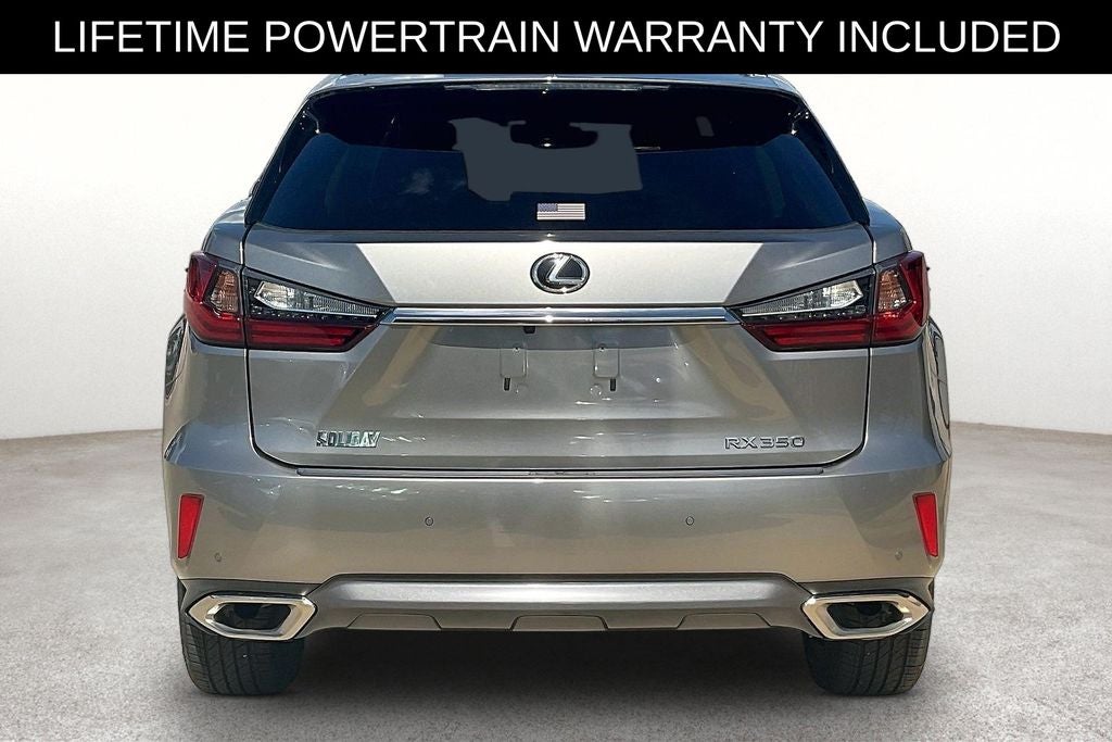 2017 Lexus RX — detail view
