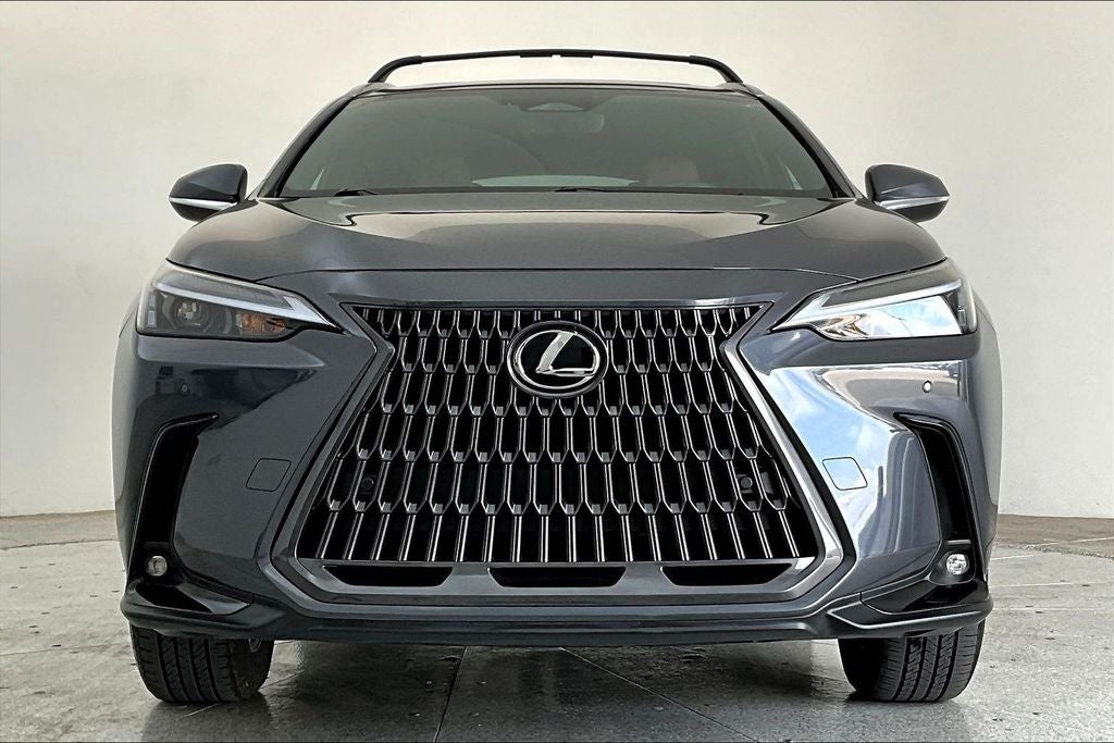 2025 Lexus NX — rear three-quarter view